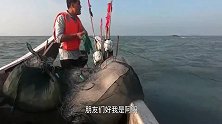 冒着风浪出海，抓到名贵的“老虎鱼”，连大黄鱼都晾在一旁！