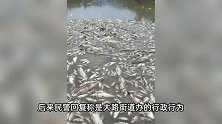街道办强拆120亩鱼塘被判赔380万，官方通报