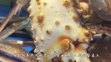 餐桌上的帝王蟹是怎么来的？奢侈的背后，隐藏了一个危险的职业！