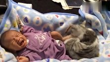 刚出生第九天的小宝宝， 父母就把猫放在旁边，心真大呀！