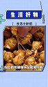 我来教你自制美味的小零食吧，看完视频的你学会咋做了吗