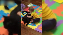 宝宝揪住黑猫，黑猫却只回头看了一眼，真萌！