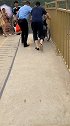 推着轮椅去旅行，真有毅力