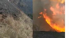 山西河北交界发生森林火灾 河北境内火点已扑灭