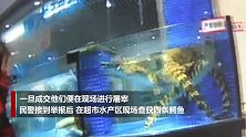 现场曝光！江苏一超市竟然售卖宰杀暹罗鳄 5人被刑拘