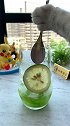 猫王：苦瓜冻柠茶，很适合夏天，你们爱吃苦瓜吗？会做饭的猫 夏天的第一杯冷饮