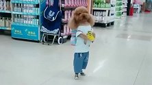 小泰迪在超市走丢了，这落寞的表情有点可怜