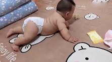小宝宝想要往前爬，瞧这小屁股一撅一撅的真可爱