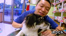 法兰奇 Vlog 003 摇滚奶爸育成记之「大家好，我叫Lucky」
