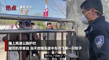 司机高速失控撞护栏 怪蚊子妨碍驾驶逗笑民警：你胆子不小啊