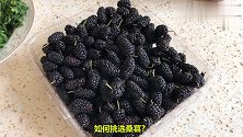 你还在买桑葚吃吗？知道的人不算多，看后麻烦转告身边人