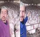 西班牙：一呼百应！一农民分享养殖场数百只火鸡模仿自己“说话”