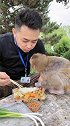聪明伶俐的布兜，看见主人吃饭馋的流口水，也不抢，管理员让亲他一口真的亲一口。