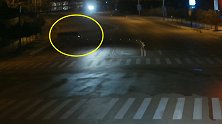粗心司机内急上厕所忘拉手刹 车子倒溜上公路撞隔离栏堵5条车道