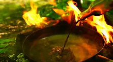 丛林里撸个串，景美食更美！