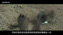 非洲士兵为法国卖命真实场面，战斗力惊人，德军闻风丧胆！战争片