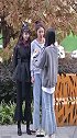 都说三个女人一台戏，这波戏昌的一般人看不懂，我服气了