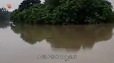 印度大坝对比中国三峡大坝，历时40年才建成，四秒后尴尬了！