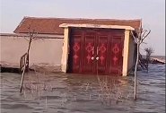 潍坊一小院被淹四面环水变“海景房” 村民：从去年淹到了现在