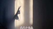 阳光透过窗子成了孩子的玩具，快来和孩子一起玩手影