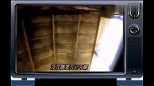 许冠杰一首《沧海一声笑》经典老歌，百听不腻！