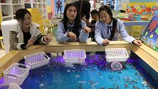 老师带同学们去“捞金鱼”倩倩不让捞怕伤到小金鱼，满满的正能量