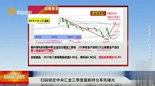 中央汇金三季度持仓抢先曝光！