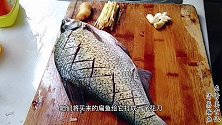 清蒸鳊鱼的家常做法，鱼肉鲜嫩多汁，做法简单诱人，味道真不错