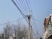 硬核宣传，花样多多呀