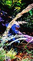 色彩斑斓的秋天