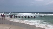 美国：海滩十几名游客手挽手们组成人链营救被困海里的女子