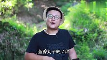 阿米喜欢吃的鱼香丸子，一口一个，这也太美味了