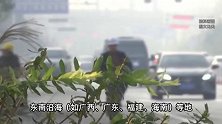 北京出现“回南天”？衣物有馊味！南方人在北京直呼“太熟悉了”