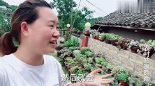 夏季多肉休眠，为什么我家的还在长？肉友：原来是这样