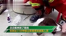 坍塌酒店搜救犬贝贝四肢感染 曾15分钟就找到被困人员