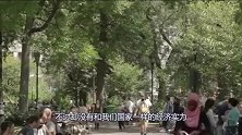 尼泊尔的姑娘从来不存在守寡？看完她们的生活，只有满满的心酸感