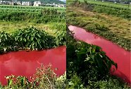 广西一河流一夜间成血红色 环保局：人为向河流倾倒印染剂