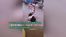 台风“泰利”登陆：暴雨吹得人都站不稳！鲸鱼被冲上岸引围观