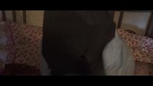哎呀黄先生-第9期-老人如何利用年轻人的爱心，帮人贩子实施拐卖