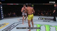 UFC格斗之夜161：埃瑞克-安德斯VS米尔斯切特