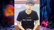 水族小知识，这3种情况，需要关注鱼缸的溶氧量哦