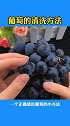 葡萄正确的清洗方法来了，看完视频的你学会了吗？快去试试吧