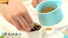 多肉植物小白看过来！学会这三招，你也能轻松照顾肉肉们啦