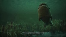 没有牙的“神秘生物”，进食只能靠骨头咬，饿起来连同类都吃！
