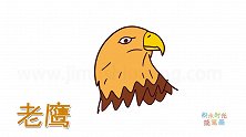 动物简笔画大全，画一只雄鹰特写简笔画