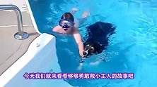 狗狗误认小主人落水，直接奋不顾身跳水营救，镜头拍下感人全程！