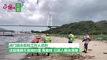 虎门一海滩一夜现“成千上万”只猪蹄，工作人员：或超20吨！