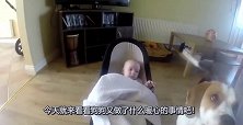 宝宝不想睡觉，狗狗就拽着宝宝去卧室，这狗的力气真大！