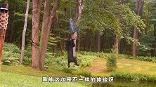 黑熊想要偷鸟食，不料竟直接“起飞”，黑熊：不一样的体验