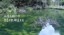「寻」悠悠青苔，去品尝山水的滋味